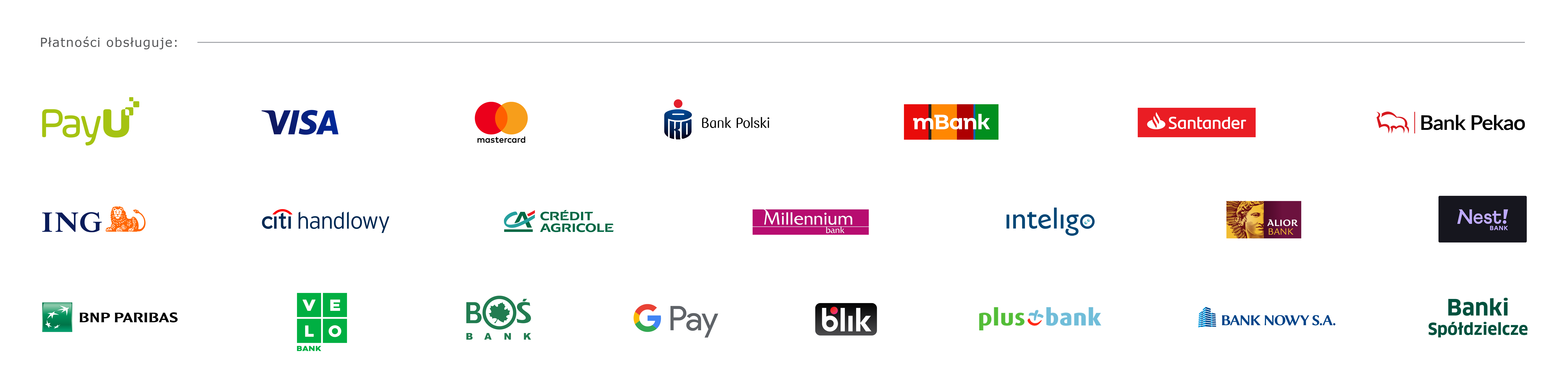 Płatności PayU: karty Visa, Mastercard, Maestro, Google Pay, BLIK i szybkie przelewy bankowe